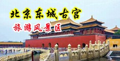 色逼尻中国北京-东城古宫旅游风景区